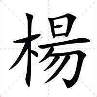 楊造詞|楊：楊的意思/造詞/解釋/注音